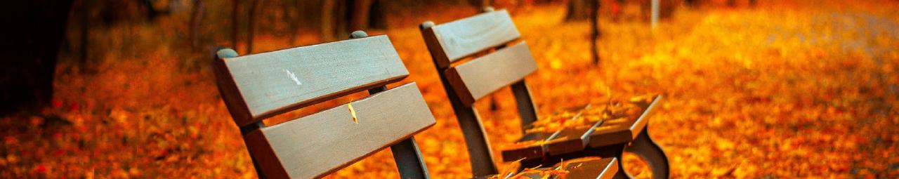 bench 1.0.1